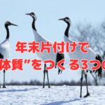 年末片付けで“利益体質”をつくる3つの視点