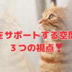 決断をサポートする空間設計・３つの視点