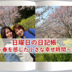 日曜日の日記帳～春を感じた小さな幸せ時間～