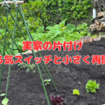 実家の片付け～母のやる気スイッチと小さく再開した畑～
