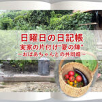 日曜日の日記帳～実家の片付け“夏の陣”～おばあちゃんとの共同畑